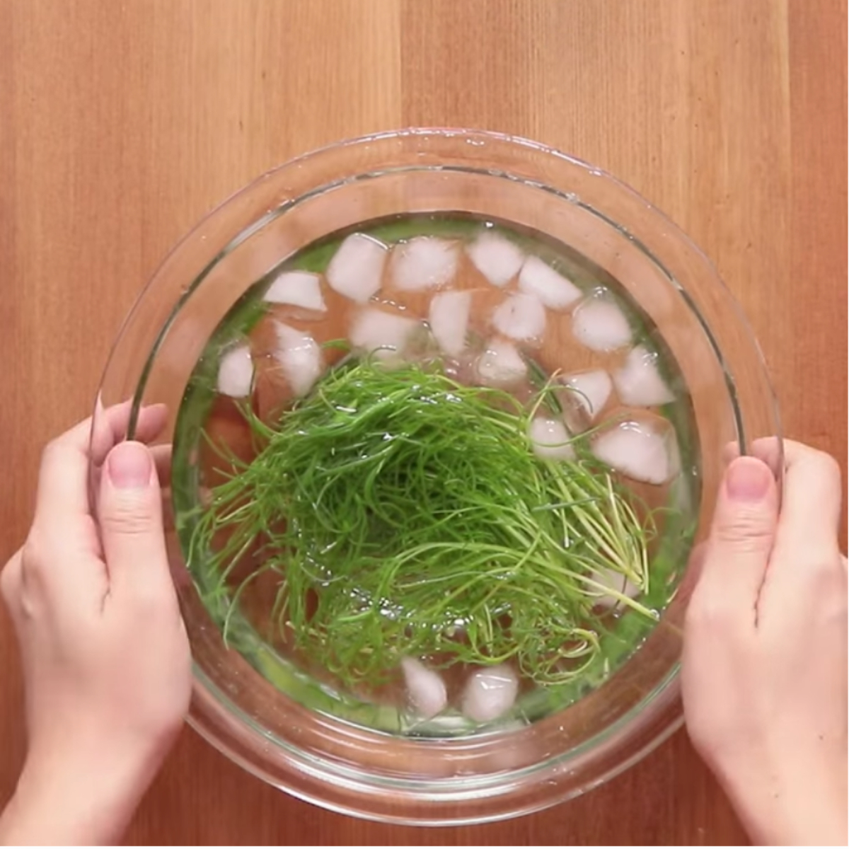 自家製ドレッシングでいただく イタリアンサラダ の絶品レシピ14選 クラシル