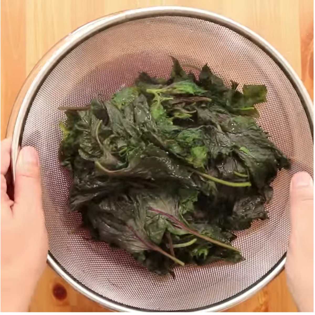 ジュースにもおかずにも 赤紫蘇 を使ったレシピ15選 クラシル