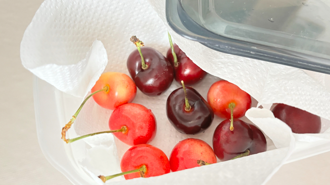 さくらんぼを保存する際はキッチンペーパーを敷いた容器にさくらんぼを入れる