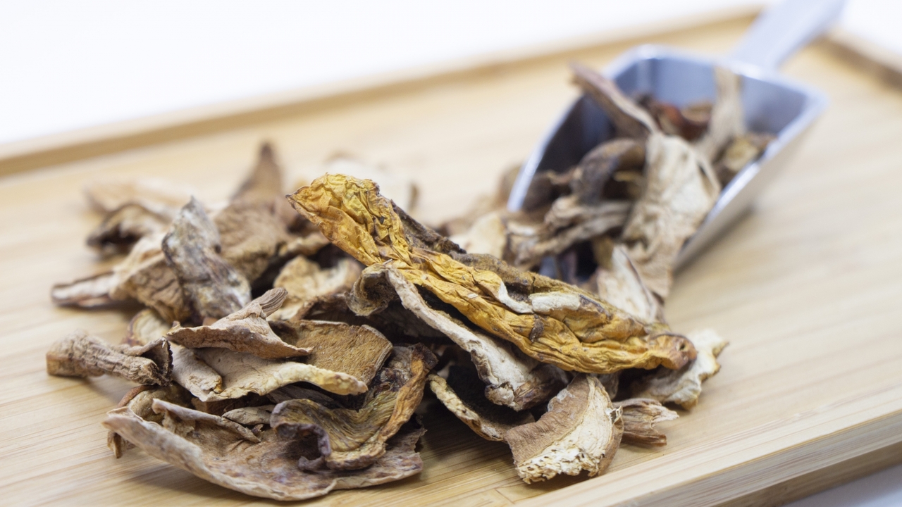 「ポルチーニ」とは？食材の特徴や活用レシピもご紹介！