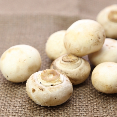 マッシュルームの選び方と栄養素｜買い物で役立つ基本の「き」