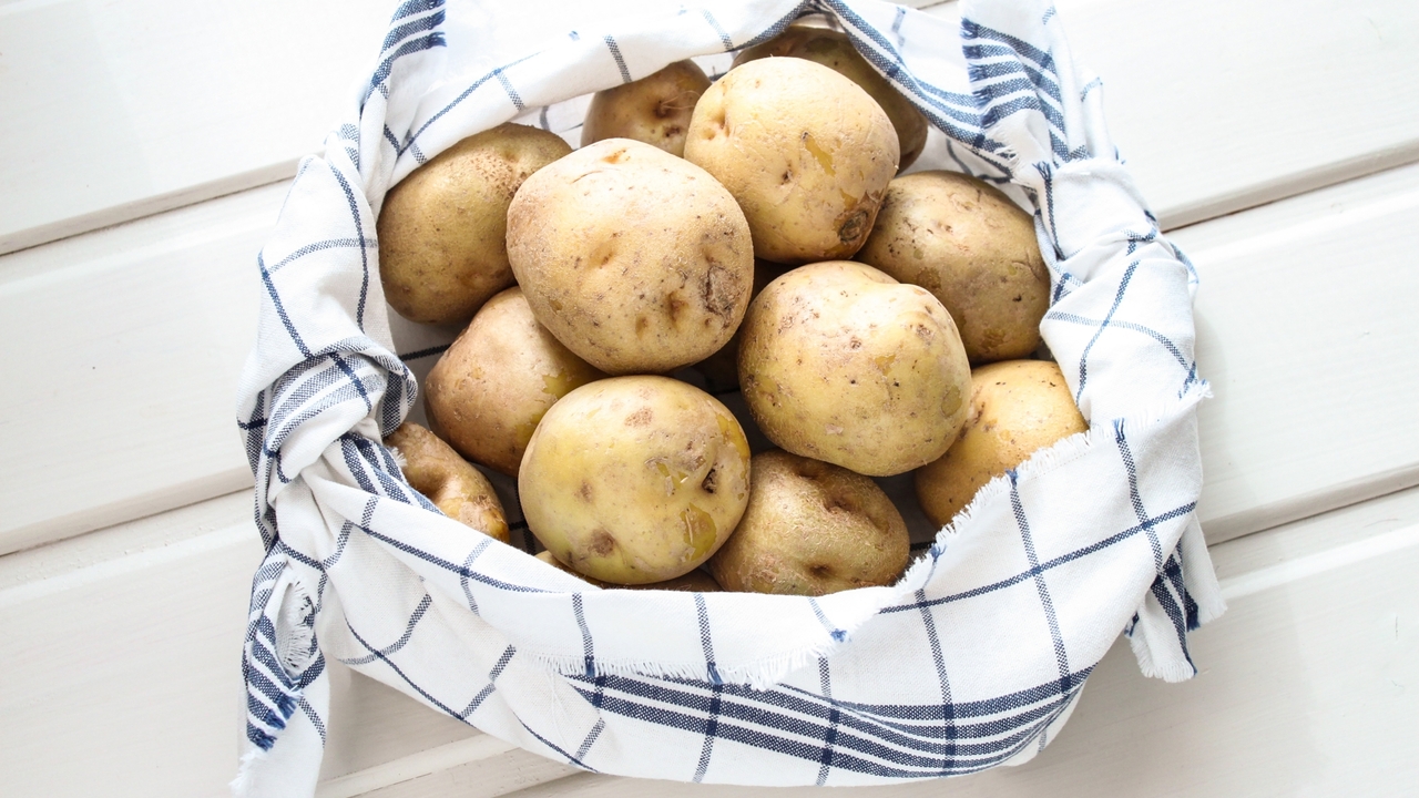 夏場の【じゃがいも】はどう保存する？注意点や冷蔵・冷凍のポイントをご紹介