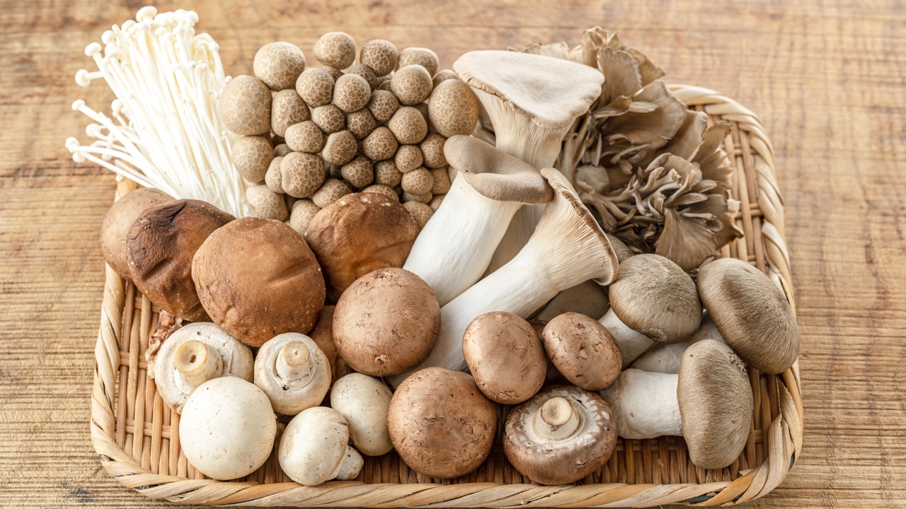 「間違ってたかも…」きのこって洗う？拭く？種類別の正しい下処理方法まとめ