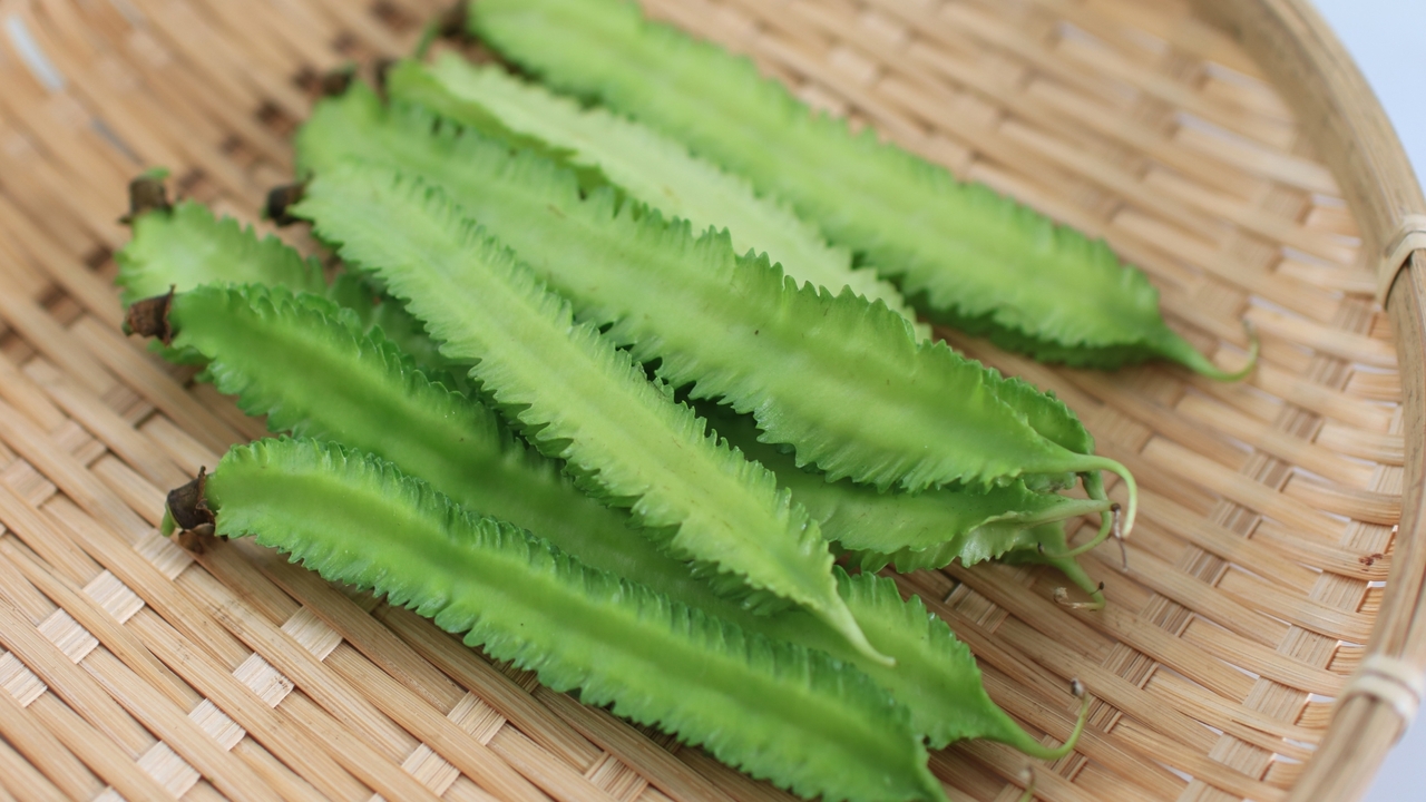翼のある豆！？沖縄野菜の四角豆とは？特徴や食べ方に「知らなかった..!」