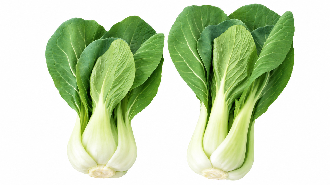 美味しいチンゲン菜「右と左」どっちを買うべき？茎の長さでわかる美味しい選び方とは