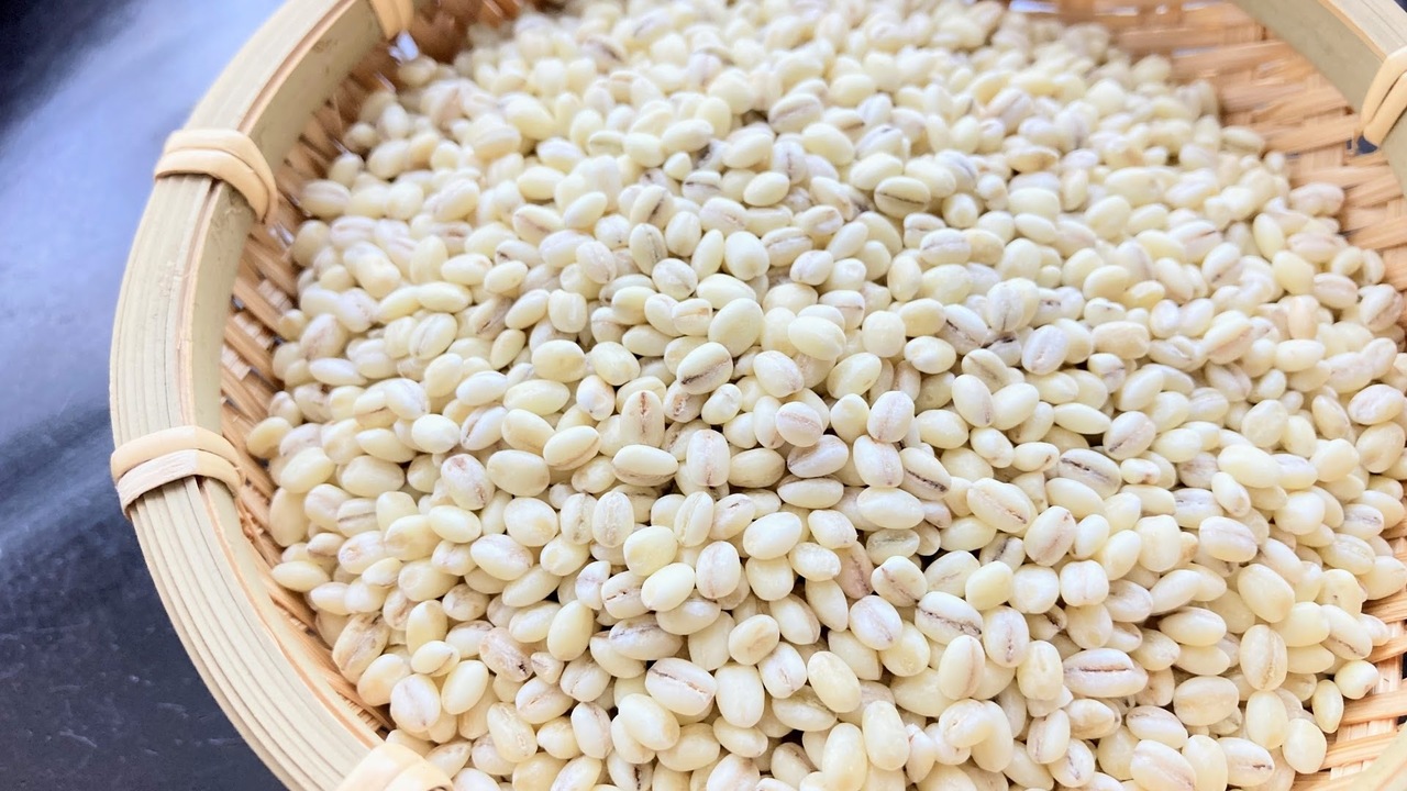 世界で1番“大麦”を生産しているのはどこ？3位ドイツ、2位オーストラリアを抑えた1位は…