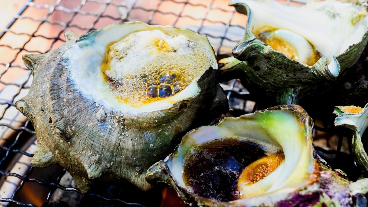 日本で1番“サザエ”が獲れるのはどこ？3位山口県、2位長崎県を抑えて1位になったのは…