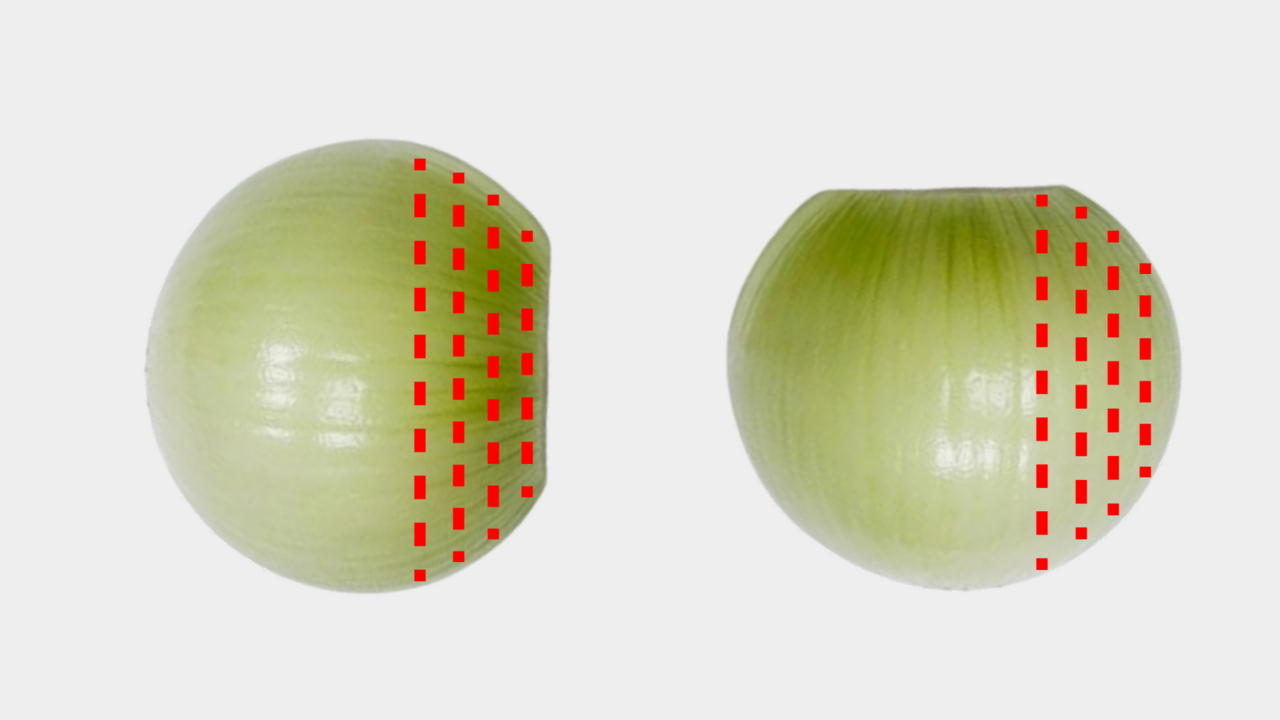 “玉ねぎ”ポテトサラダに入れるならどっち？おいしさが変わる切り方に「え、違いあるの？！」