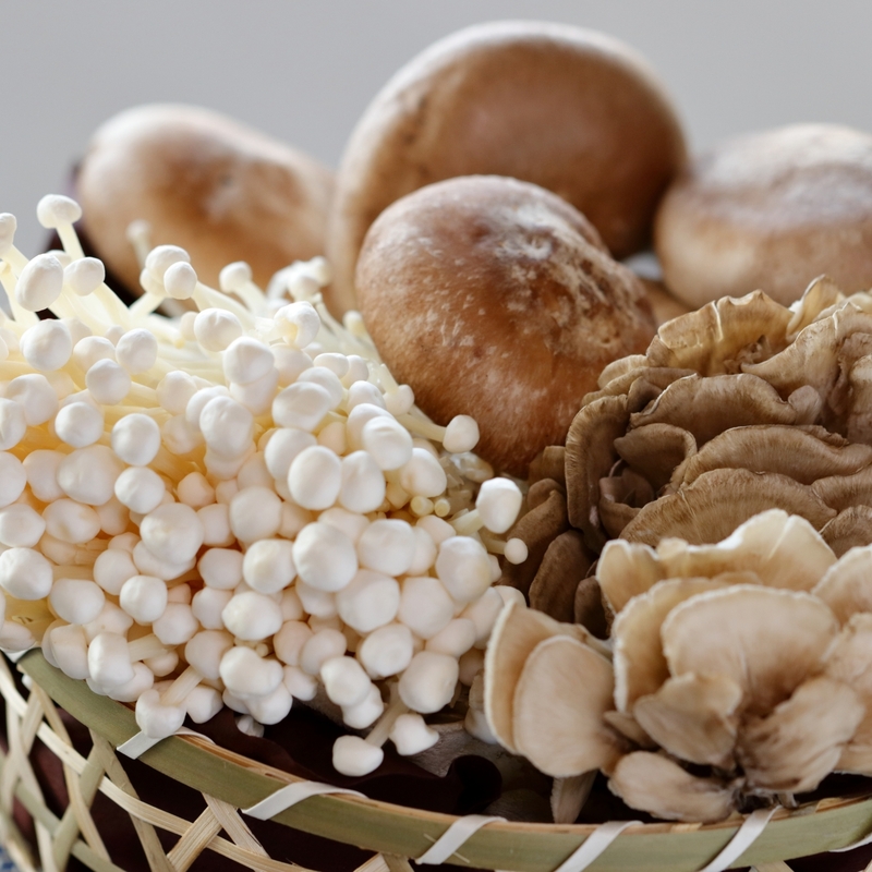 きのこってどこまで食べれるの？？無駄なくおいしく食べるコツ、教え