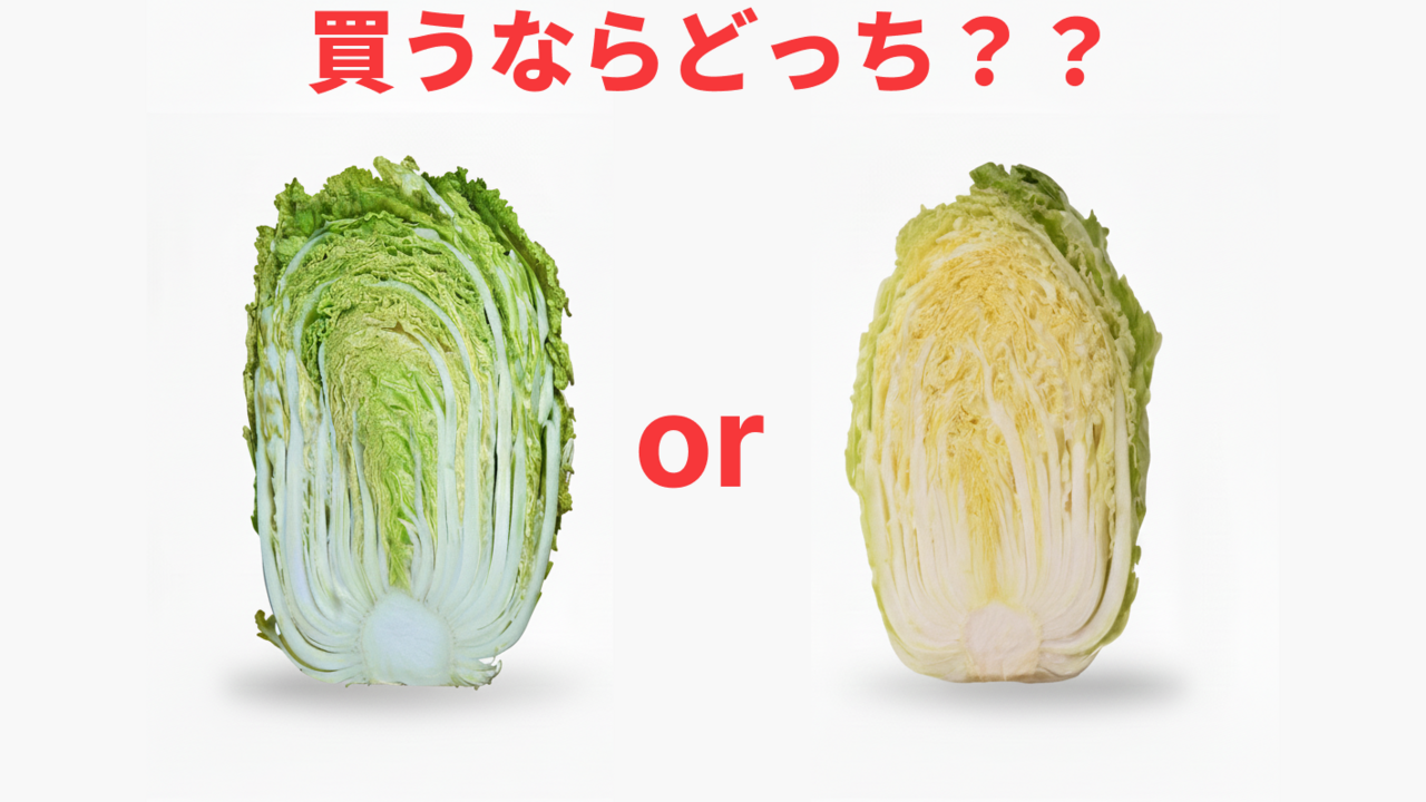 白菜「右、左」どっちを買う？色の違いでわかる、意外と知らないポイントとは…