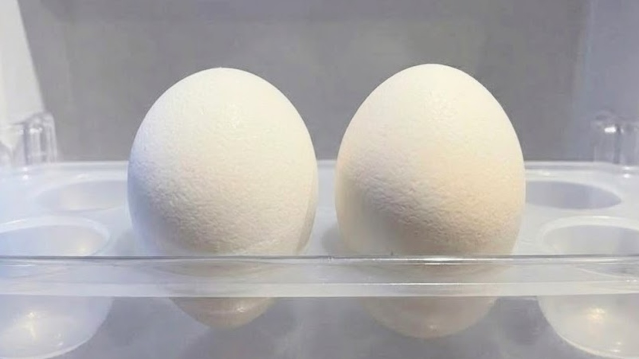 卵を保存するなら「右と左」どっち？尖った方と丸い方、正解は…