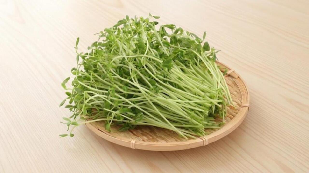 「豆苗はこう食べる」シャキシャキ食感がクセになる、お財布にもやさしい“やみつき”レシピ5選