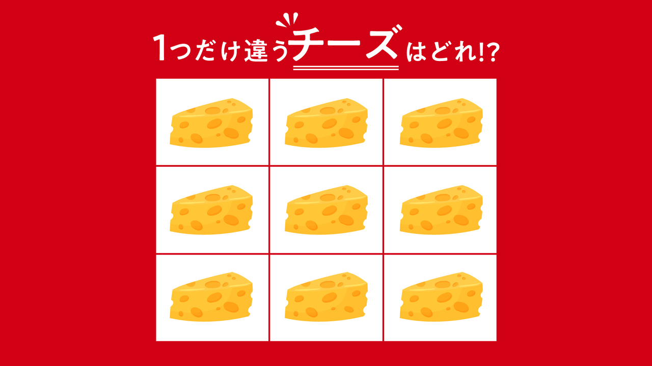 【クイズ】1つだけ違う「チーズ」はどこ？気になる正解は...