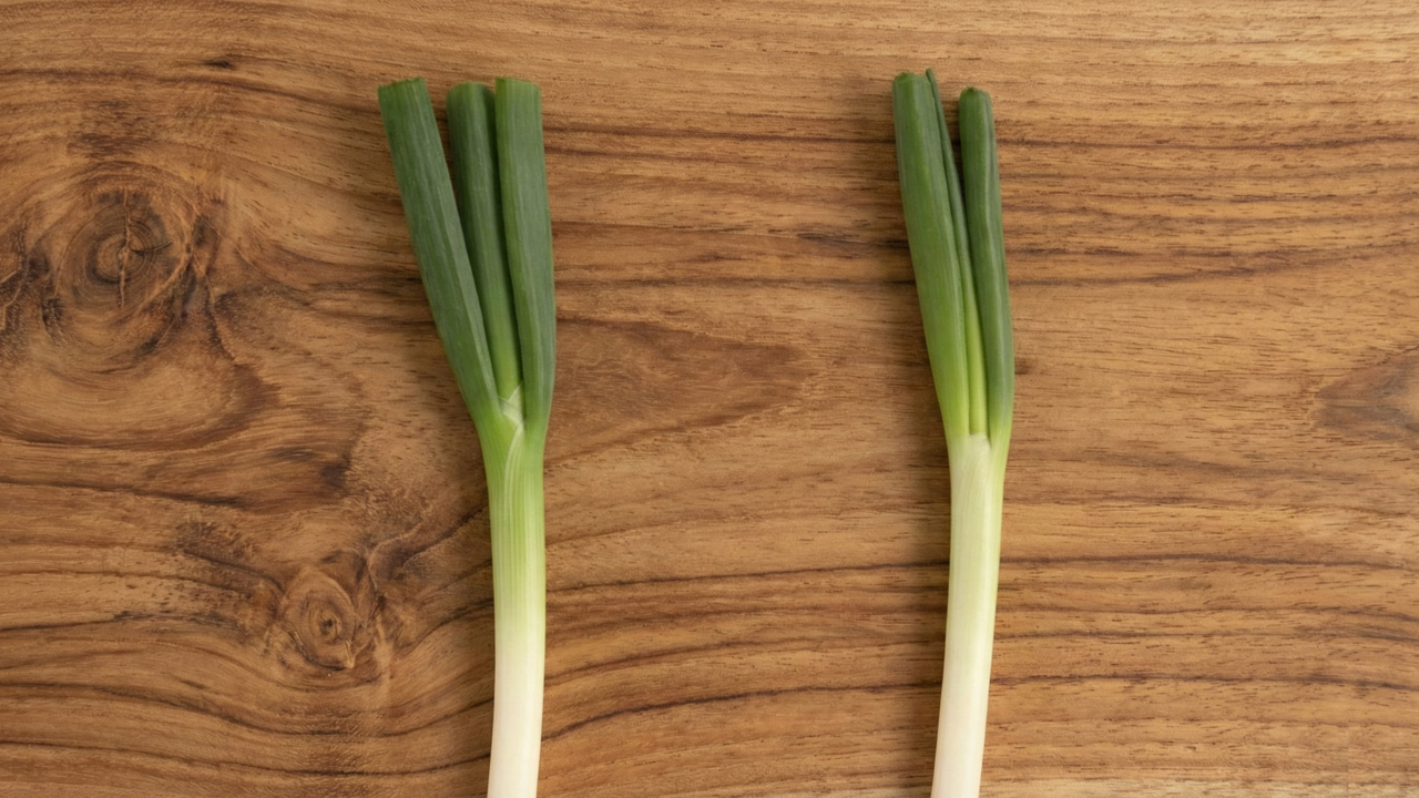 美味しい長ねぎ「右と左」どっち？意外な注目ポイントとは