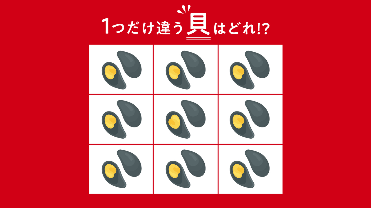 【違う絵クイズ】1つだけ違う“貝”はどれ？すぐに分かったらすごい！気になる正解は…