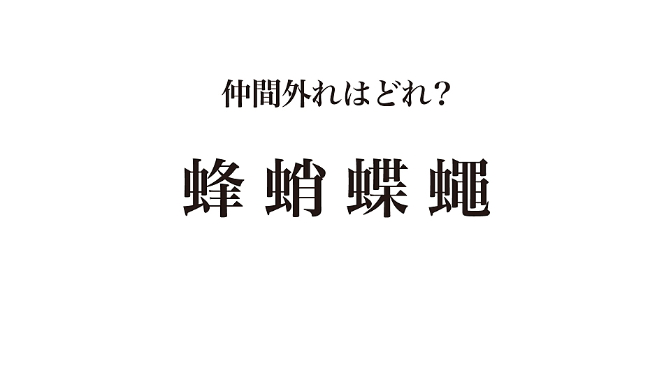 この中で仲間外れはどれ 解けてスッキリ謎解きクイズ 気になる正解は クラシル