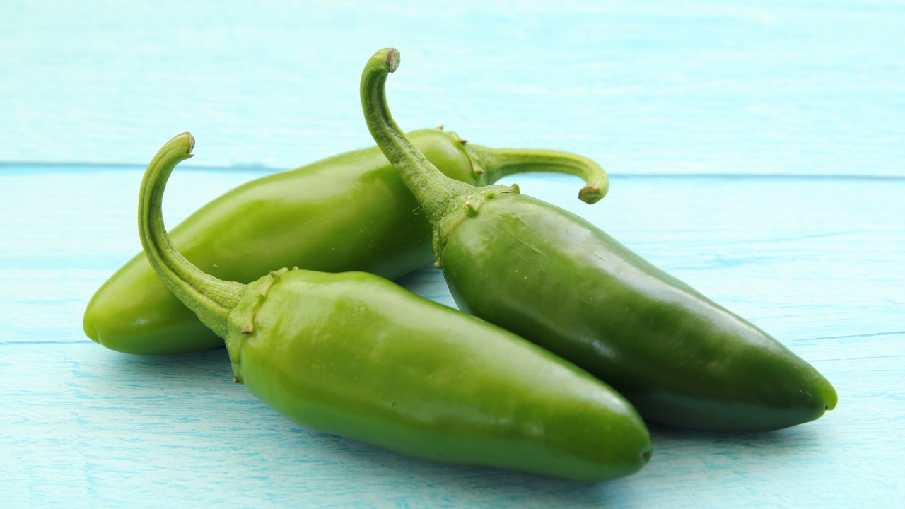 ハラペーニョとは？ハバネロとの違いや辛さの特徴、おいしい食べ方について解説！