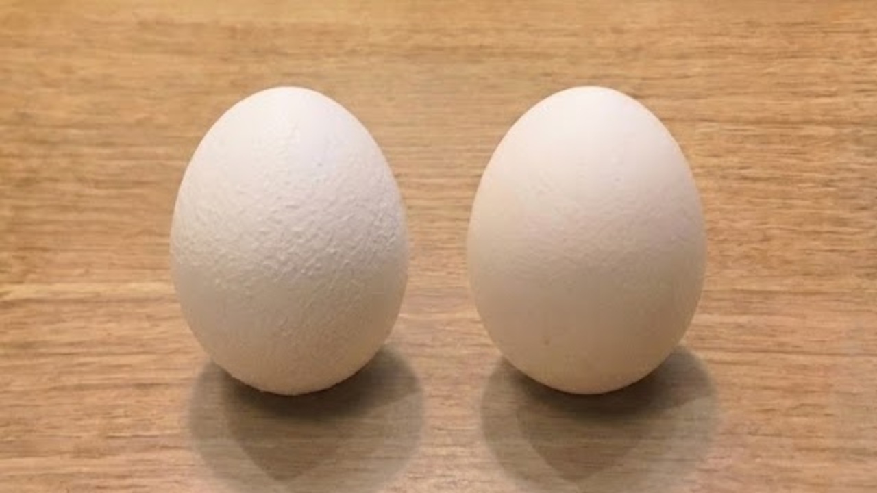 卵「右と左」どっちを買うべき？ザラザラ・ツルツル、殻で鮮度はわかる？