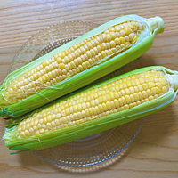 とうもろこしの保存方法 長持ちのコツ 用途に合わせた保存 クラシル