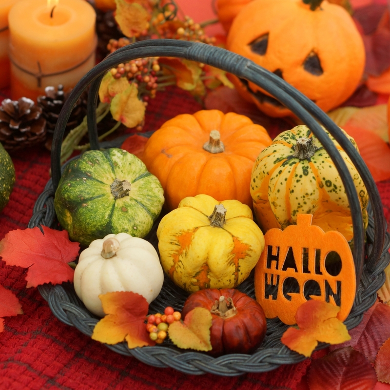 ハロウィンってなに？かぼちゃの意味や仮装する理由に「知らなかった