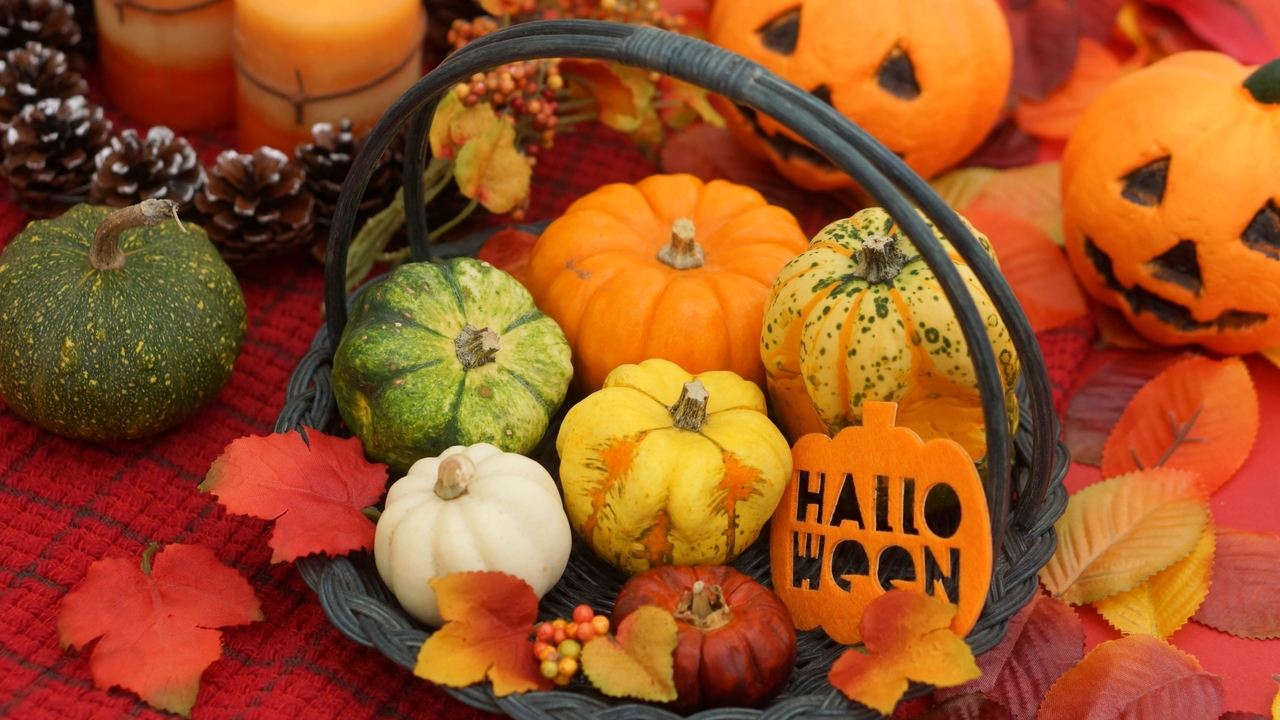 ハロウィンってなに？かぼちゃの意味や仮装する理由に「知らなかった..!」「怖い....」