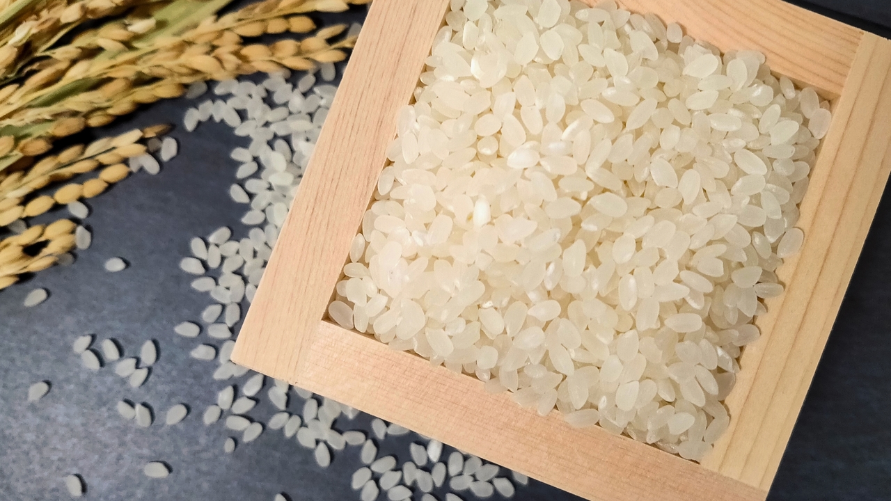 【令和の米騒動】米不足をどう乗り切る？代替品でのアレンジレシピやかさ増し方法もご紹介