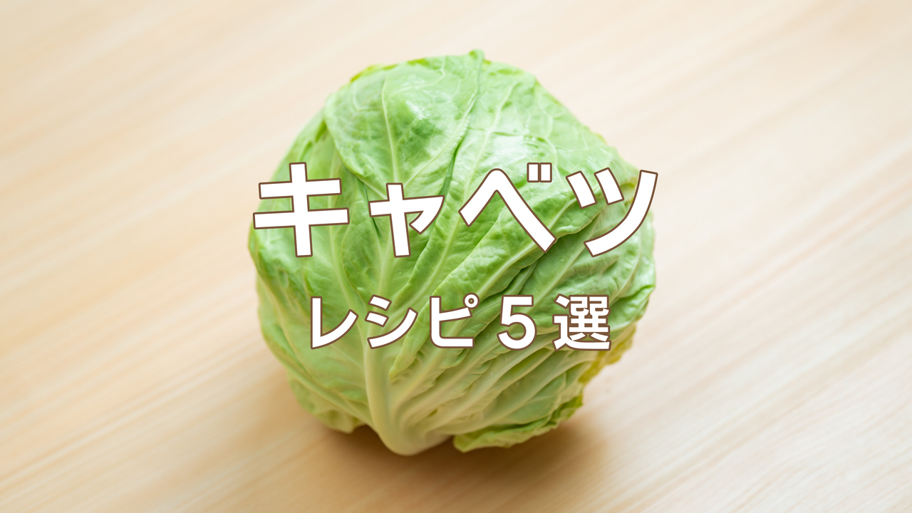 「キャベツはこう食べる」あっという間になくなる“やみつき”レシピ5選