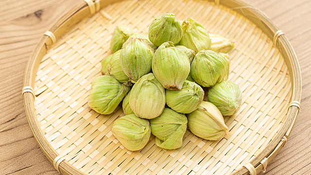 ふきのとうの選び方と栄養素｜買い物で役立つ基本の「き」 | クラシル