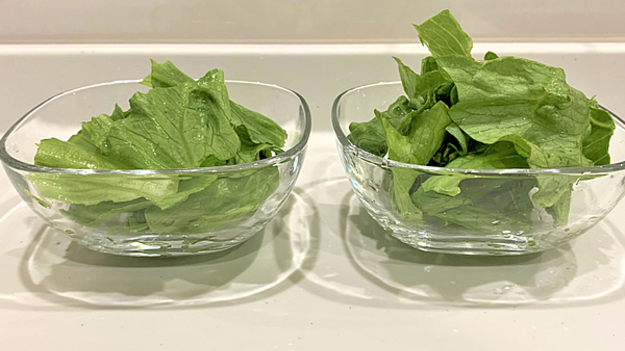 レタスのシャキシャキ感を復活させる裏ワザを検証！水洗いのみと比べてみた【管理栄養士監修】
