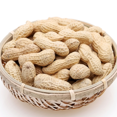 落花生の選び方と栄養素｜買い物で役立つ基本の「き」