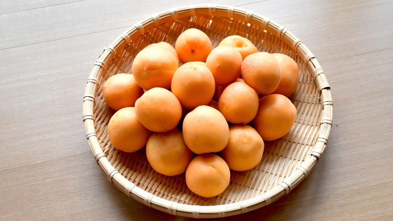 あんずはそのまま食べてもOK!皮ごと食べられる「あんずの食べ方」をご紹介