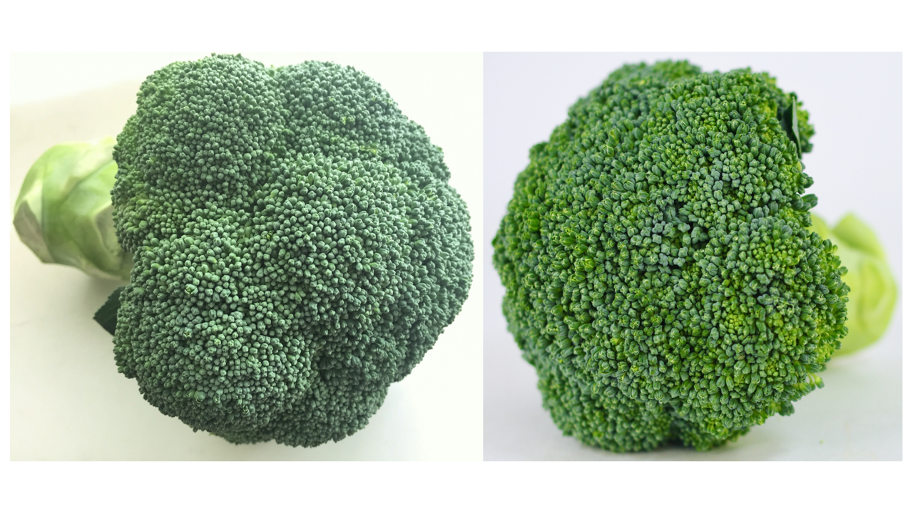 “ブロッコリー”右と左、どっちを買う？意外な理由に「そんな違いが？！」
