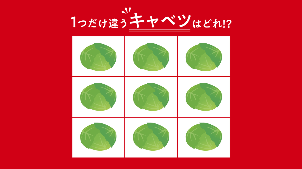 【クイズ】1つだけ違う“キャベツ”はどれ？レシピもご紹介！気になる正解は…