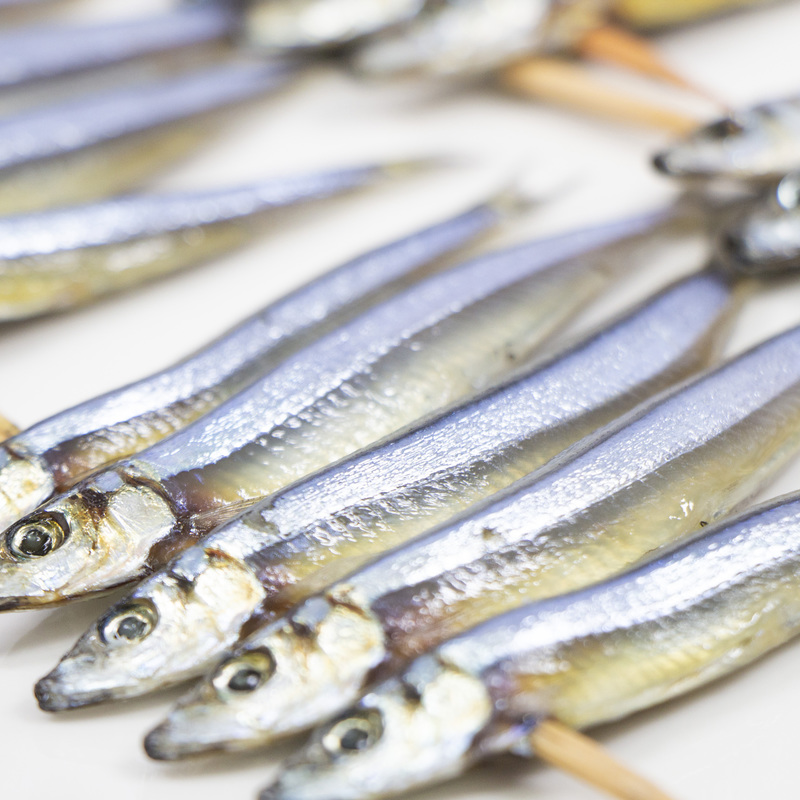 きびなごってどんな魚？味の特徴や旬の時期、おいしい食べ方についても 