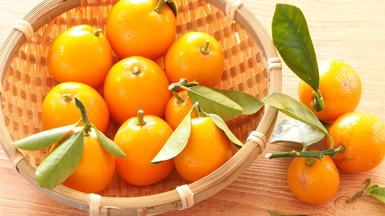 きんかんとは？特徴や旬の時期、食べ方のポイントを解説