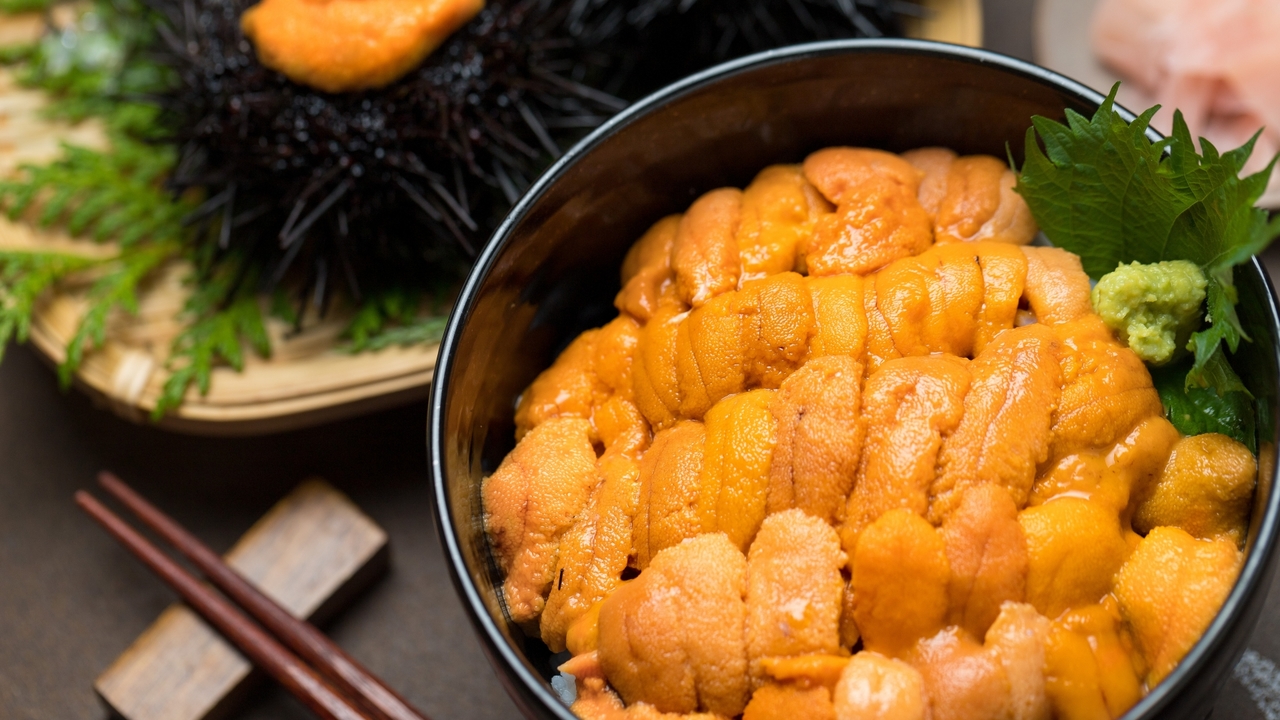 「ウニ」について知りたい！種類や旬、自宅でおいしく味わえるレシピもご紹介