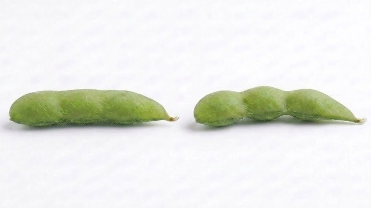 枝豆「右、左」どっちを買うべき？形を見れば分かる、おいしい枝豆を選ぶ意外なポイントとは
