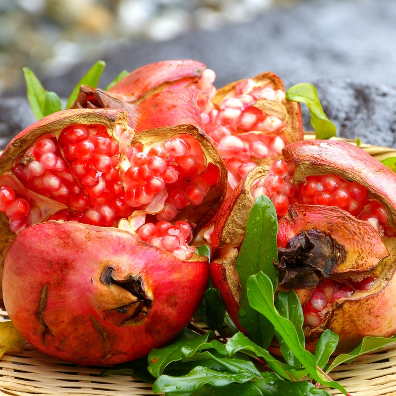 ざくろの選び方と栄養素 買い物で役立つ基本の き クラシル