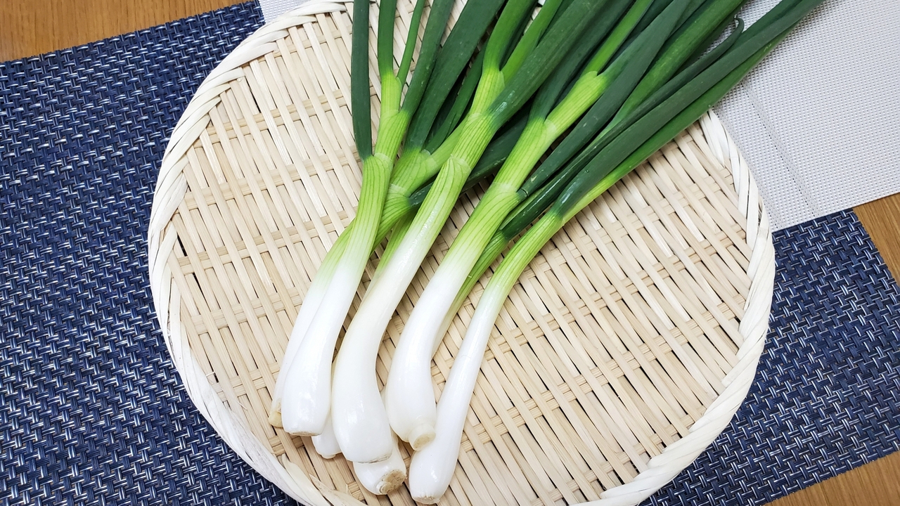 玉ねぎとの雑種！？「わけぎ」とは？特徴や旬、小ねぎとの違いも解説！