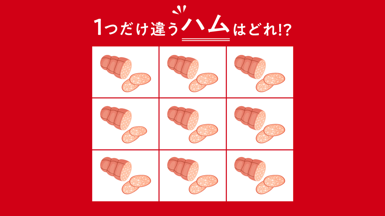 【クイズ】1つだけ違う“ハム”はどれ？気になるクイズの正解に…「むず！」