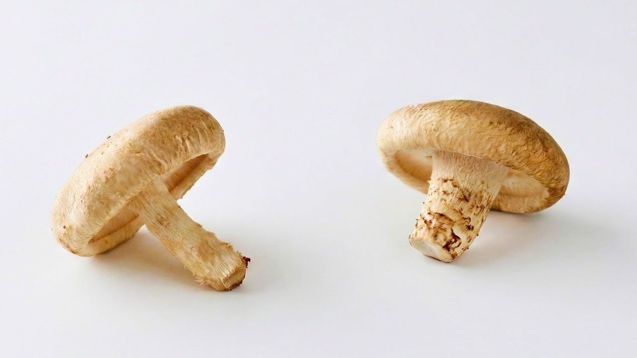 “しいたけ”右と左、どちらを買うべき？意外と知らないポイントに「そこ見るの？！」