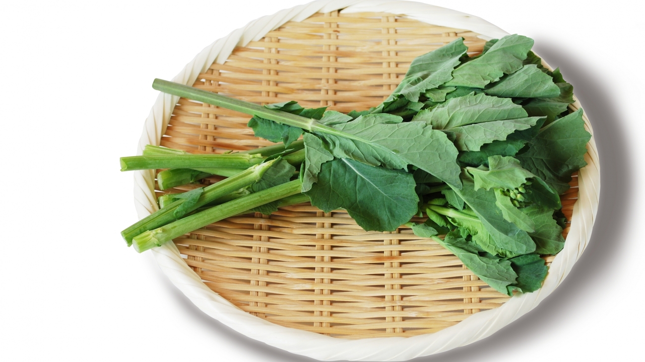 のらぼう菜とは？旬の時期や特徴、菜の花との違いやおすすめレシピを紹介