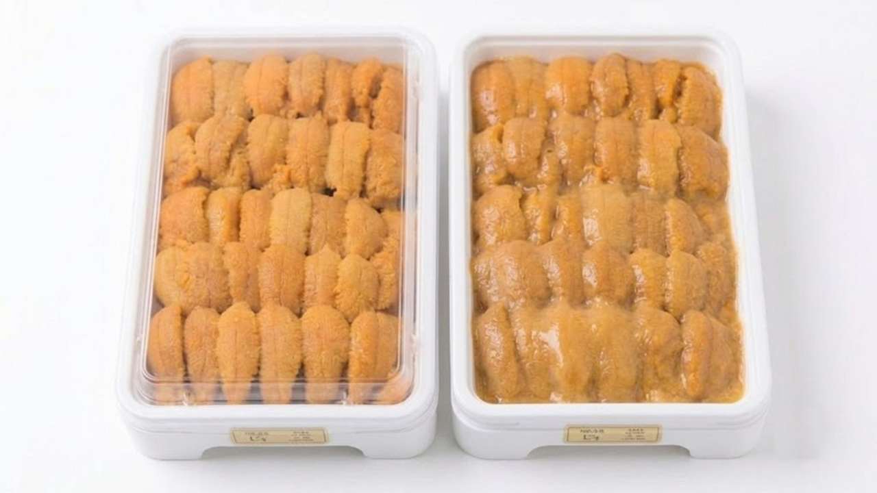 美味しいうに「右と左」どっちを買う？“粒の立ち方”でわかる鮮度の見極め方とは…