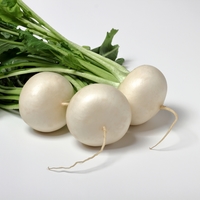 image_small.jpg?1680142372