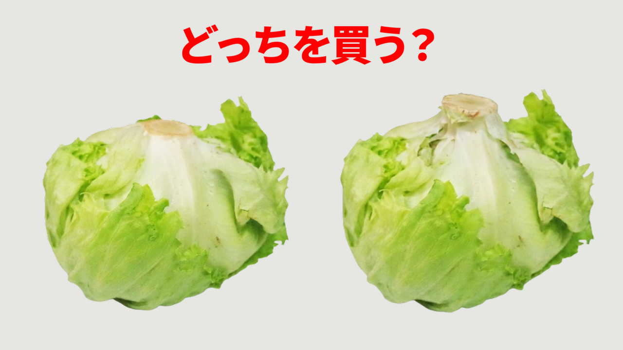美味しいレタス「右と左」どっち？芯の形で分かる見分け方とは