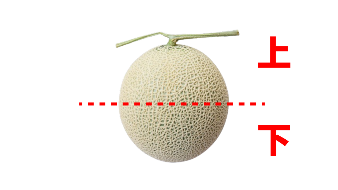 “メロン”は「上、下」どっちから食べるべき？甘さが変わる意外な順番とは　