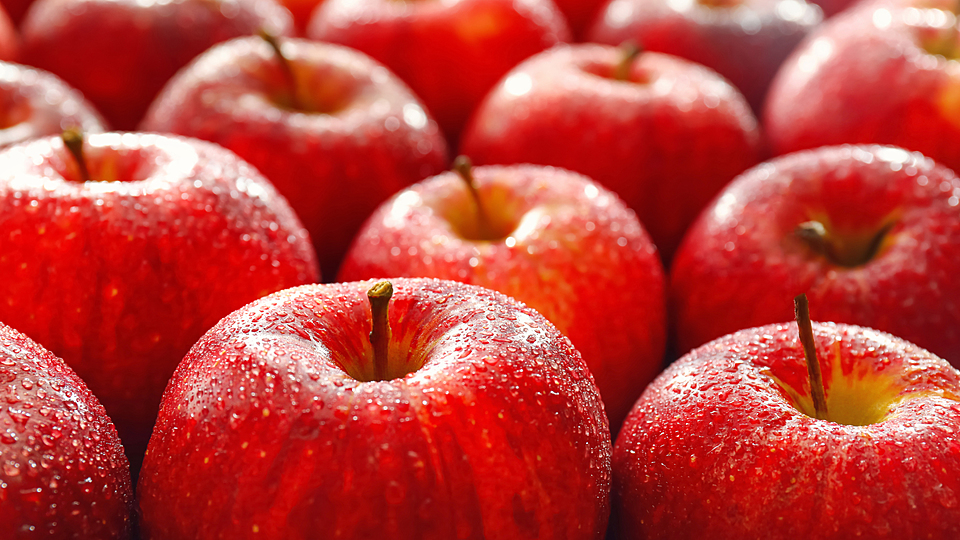 りんご の支出金額が一番多い都市はどこ 3位は長野市 2位は青森市 僅差で1位は クラシル