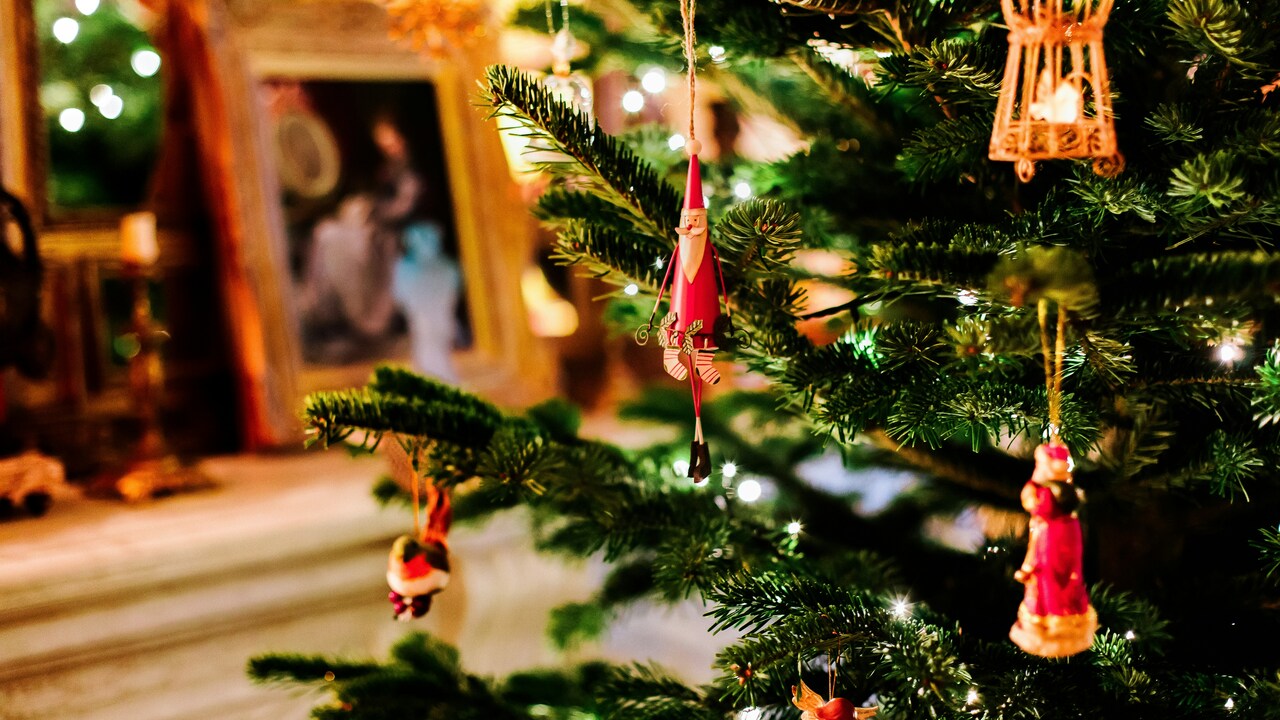 キリストの誕生日ではない！？クリスマスが12月25日の理由とパーティーにおすすめのレシピをご紹介