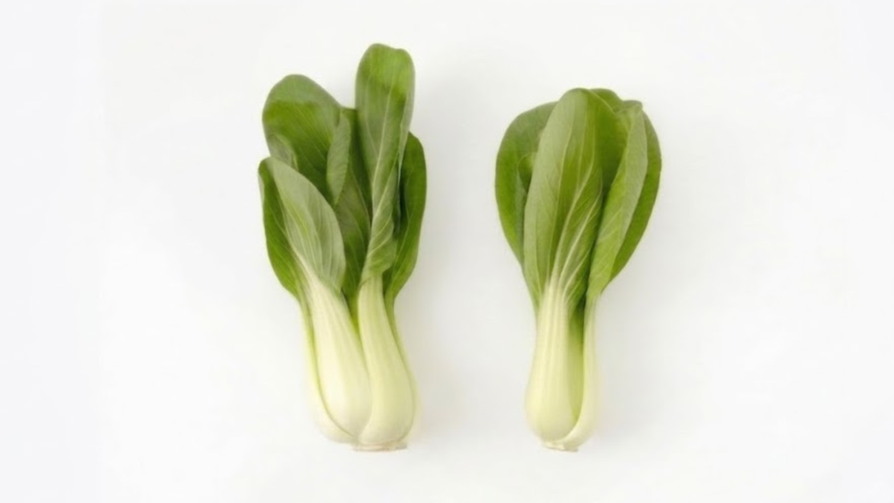 美味しいチンゲン菜、「右と左」どっち？根元を見ればわかる、おいしさの秘密とは…