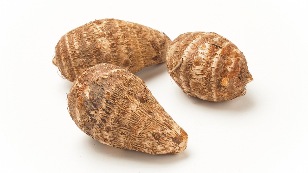 里芋を切ったら、断面が赤い…！これって食べても大丈夫？お悩みを解決！